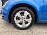 IMG_7937.jpeg