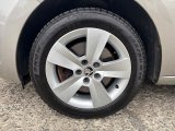 IMG_5531.jpeg