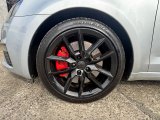 IMG_7919.jpeg